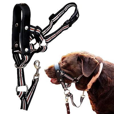 Buy Small Leather Puppy Harness, Dog Training