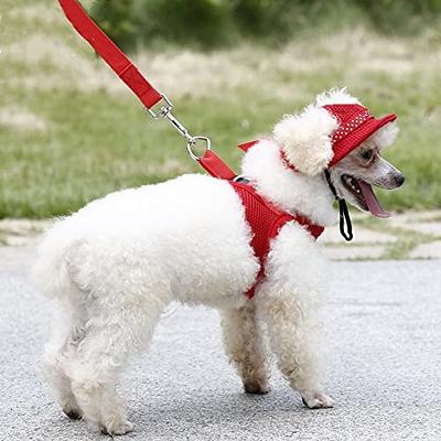 Dog Sun Protection Hat