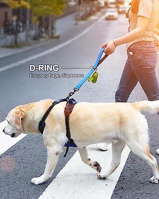 Leashboss - Dog Leashes for Large Dogs - Heavy Duty Training Leads