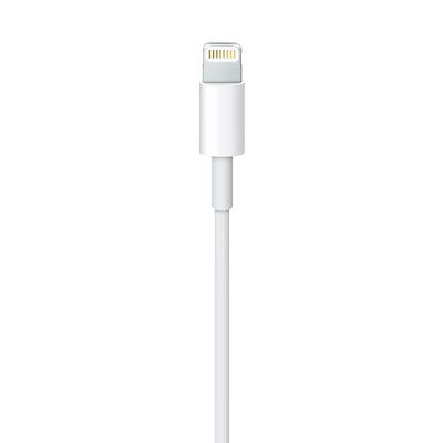 Cable de USB-C a conector Lightning de mophie (1 m) - Apple (ES)