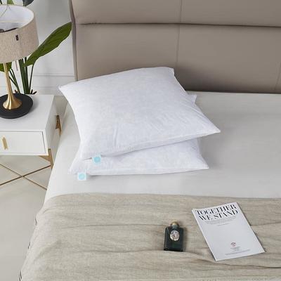 Peace Nest 2 Pack Feather Down Throw Pillow Insert, White, 26 X