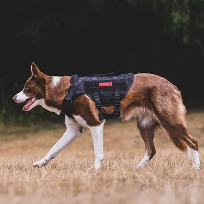  Fairwin Service Dog Vest-No-Pull Dog Harness with