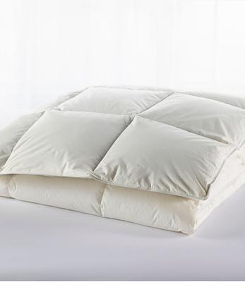 700-Fill-Power Sateen White Goose Down Pillow Pale Blue Firm King, Cotton | L.L.Bean