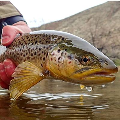 Tungsten Astronaut Bead Head Nymph Fly Fishing Flies Trout Fishing