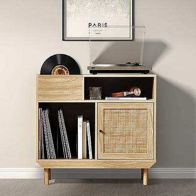 Vintage Oak Double-Layer Vinyl Record Storage Rack - Stylish and Durable –  Hadulcet