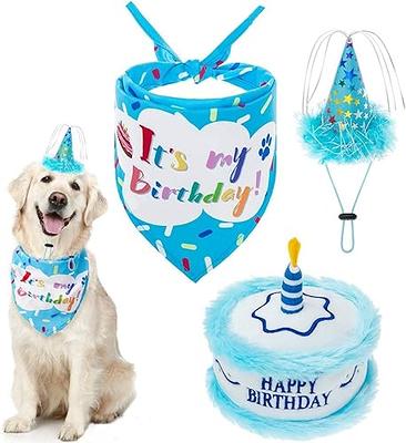 ZippyPaws Birthday Gifts for Dogs - Pink Birthday Cake Slice, Plush Squeaky Dog  Toy, Dog Birthday Party Supplies for Boys & Girls - Yahoo Shopping