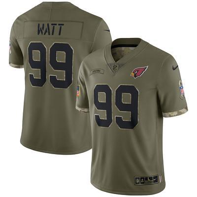 Men's Nike Aidan Hutchinson Brown Detroit Lions 2023 Salute To Service  Limited Jersey