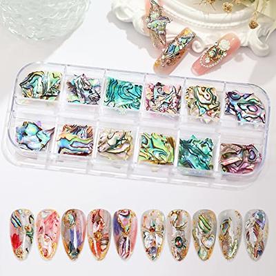 24 Grids Seashell Nail Art Nail Flakes, Wsimily Irregular Abalone Seashell  Slices for Nails Colorful Abalone Flakes Manicure Mermaid Slices UV Gel Flake  Nail Decorations for Nail Art