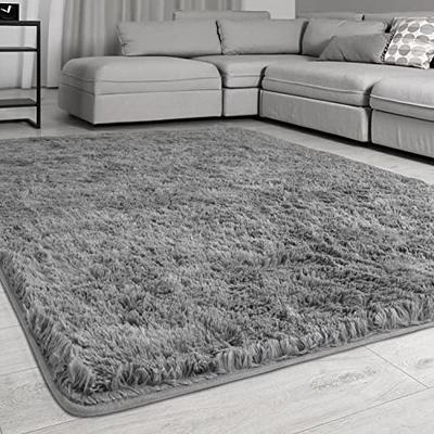 4X5.3 Ft Machine Washable Rugs Shaggy Soft Area Rug for Living