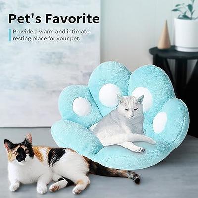  Ditucu Cat Paw Cushion Kawaii Dragon Fruit Chair Cushions 27.5  x 23.6 inch Cute Stuff Seat Pad Comfy Lazy Sofa Office Floor Pillow for Gaming  Chairs Room Decor Red : Everything Else