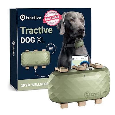 Tractive XL GPS Tracker & Health Monitoring for Dogs (50 lbs+)