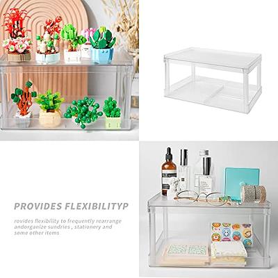 Multifunctional Double-Layer Storage Shelf: Desktop Storage Rack, Plastic  Desk Shelves, Cosmetic and Sundries Organizer Storage Solution