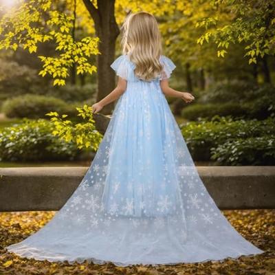 Frozen elsa clearance dress 4t