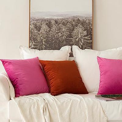 Pack Of 2 Decorative Velvet Throw Pillow Cover Square Cushion Cover 18 X 18  Inch