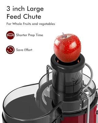 Dash Compact Centrifugal Juicer, Press Juicing Machine, 2-Speed, 2 Wide Feed Chute for Whole Fruit Vegetable, Anti-Drip, Stainless Steel Sieve - Cool