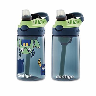 Contigo Cleanable Stainless Steel Insulated Water Bottle - Blue