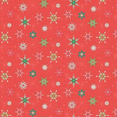 Christmas fabric Adel in Winter black red floral Riley Blake fabric cotton