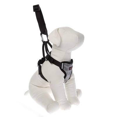 Top paw harness shop how to put on