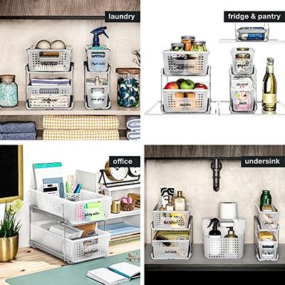 Madesmart 2-Tier Plastic Mini Multipurpose Organizer with Divided Slide-Out  Storage Bins, Compact Under Sink and Cabinet Organizer Rack, Frost