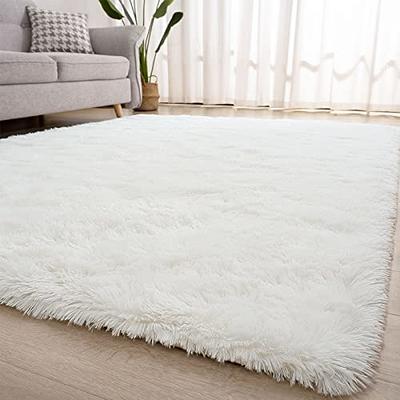 Shaggy Area Rugs for Living Room Bedroom Rug Modern Ultra Soft Fuzzy Throw  Carpets for Kids Girls Boys Pets Room Fluffy Rugs (2X3 Feet, Coffee)