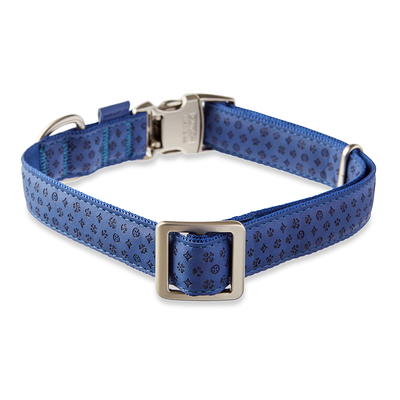 Vibrant Life Solid Nylon Dog Collar with Metal Buckle, Blue, Medium 