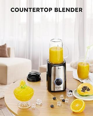 Amateys Personal Blender for Shakes and Smoothies,Professional Kitchen  Blender with Blending & Grinding Blades, Portable Coffee Grinder with 24/10  OZ