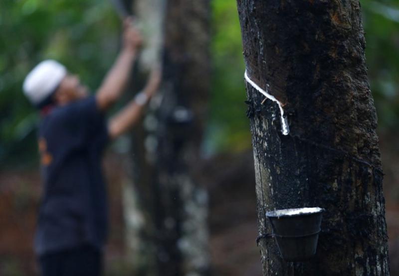 malaysia rubber board