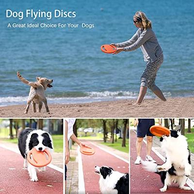 DLDER Blue Indestructible Dog Toys for Aggressive Chewers Flying Discs for  Medium/Large Breeds Dog Training Ring