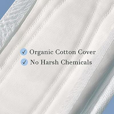 Rael Organic Cotton Cover Period Underwear L/XL 4 ct each pack (4-pack) 