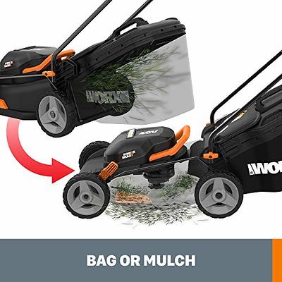 WORX 13 in. 40V Cordless Electric Push Lawn Mower at Tractor