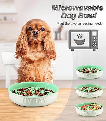 Tivray Slow Feeder Dog Bowls Ceramic, Raised Dog Slow Feeder Bowl with  Stand, 1.5 Cups Dog Food Bowls Slow Feeder for Flat Faced Dogs Anti-gulping