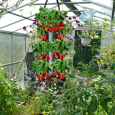 4/8 Pockets Strawberry Plant Planter Bag Vertical Garden Hanging Veg Growing  Bag