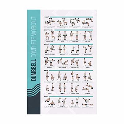 PosterMate FitMate Yoga Workout Exercise Poster - Workout Routine (20 x 30  Inch)