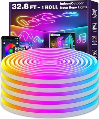 iNextStation Neon LED Strip Lights 16.4ft/5m Neon Light Strip 12V Silicone  LED Neon Rope Light Waterproof Flexible LED Lights for Bedroom Party  Festival Decor, Orange (Power Adapter not Included) - Yahoo Shopping