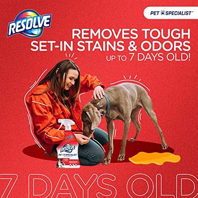 Resolve Pet Stain & Odor Carpet Cleaner, 22 oz (Pack of 3)