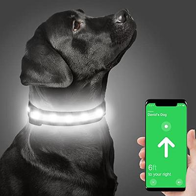 LED Dog Collar Light Up Night Safety Collar USB Rechargeable Waterproof for One