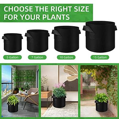 Grow Bags 5 Gallon, 5 Gallon Grow Bag 5 Pack, Fabric Pot 5 Gallon, Fabric  Planters Grow Bags 5 Gallon, 5 Gal Grow Bags for Planting, Aeration Fabric