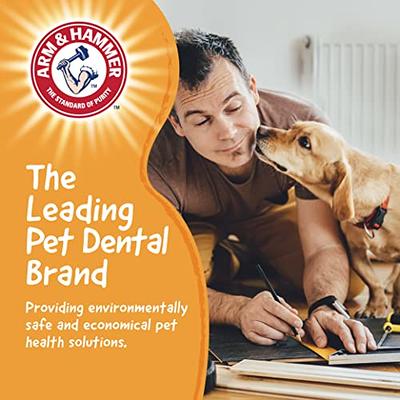 Arm & Hammer for Pets Chew Tools Collection: Wood Blend Wrench Chew Toy for  Dogs | Compressed Wood Dog Chew Toys with Baking Soda, Safer & Durable