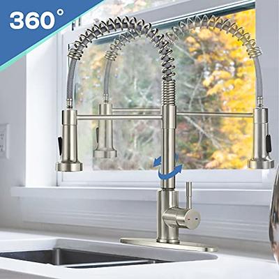 Tohlar Pull Down Kitchen Faucet