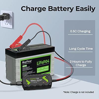 12V 12Ah LiFePO4 Battery, RoyPow 12V 12Ah LiFePO4 Lithium Battery with  low-temperature cut-off, 3500~8000 Cycles 12V LiFePO4 Battery for Kid  Scooters