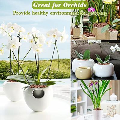 Clay Pebbles for Orchids Planter Filler