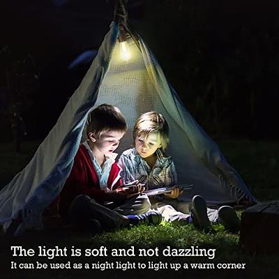 2 Pack Portable Outdoor LED Lantern Camping Lanterns, Water Resistant Emergency Tent Light for Backpacking, Hiking, Fishing