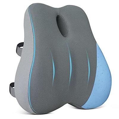 Sleepavo Memory Foam Seat Cushion & Lower Back Pain Relief Padded Lumbar  Support