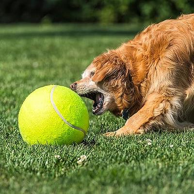 Hyper Pet Tennis Balls for Dogs (Dog Ball Dog Toys for Exercise