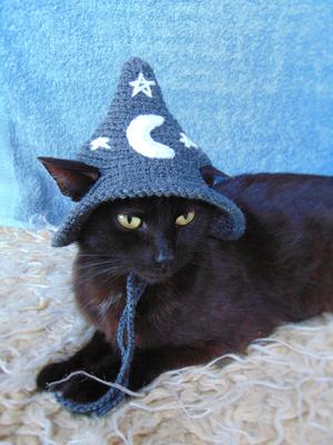 Dxhycc Halloween Pet Costume Cat Wizard Costume Funny Wizard Cat Clothes  Cloak and Wizard Hat for Small Dogs Cats Outfits