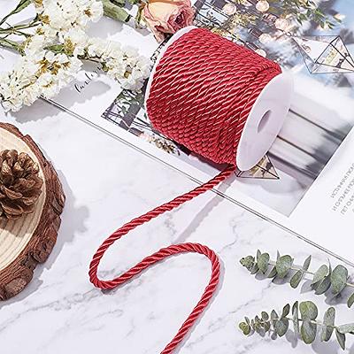 PH PandaHall 19.6 Yard Red Silk Rope 3-Ply Christmas Cording 5mm Twisted Cord  Rope Twisted Cord Trim Braided Twisted Rope for Christmas Valentine Party  Gift Bag Curtain Costume Decor DIY Crafts 