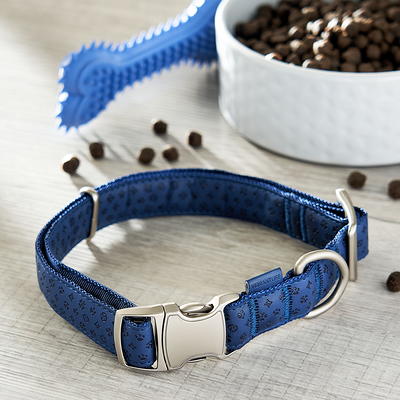 Vibrant Life Solid Nylon Dog Collar with Metal Buckle, Blue, Medium