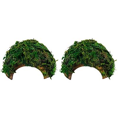 Balacoo 2pcs Box Reptile Hideout House Natural Hide Cave Turtle Basking  Platform Leopard Gecko Hideouts Ornament Container Reptilians Reptiles  Shelter Turtle Terrace Hamster Coconut Shell - Yahoo Shopping