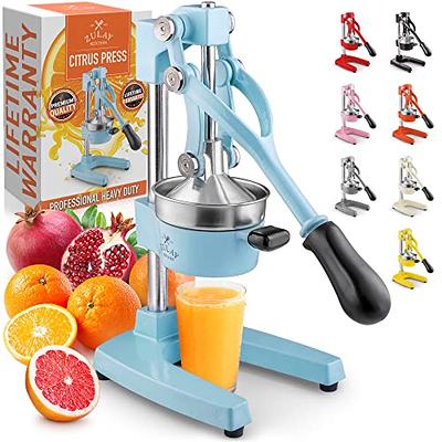 A Bar Above Professional Quality Citrus Peeler - Fruit Peeler for Oranges &  Lemons - Premium Stainless Steel Bar Tool - Garnish Citrus Zester 