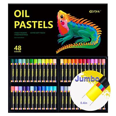 Artecho artecho oil pastels set of 48 colors, soft oil pastels for